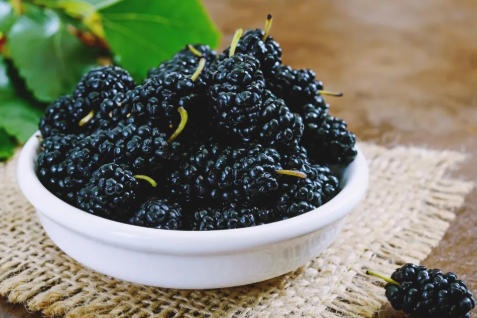 Benefits of "Mulberry", a tiny berry with amazing benefits